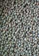 Tanzanian green coffee beans (item #10095)