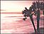 Bottle Label - Coral (item #9622)