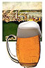 The Beer Machine Recipe Kit: American Ale (item #9910)