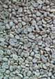 Colombian Supremo green coffee beans (item #10050)
