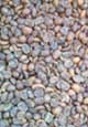 Columbian Decaf green coffee beans (item #10075)