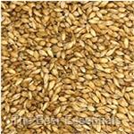 Grain by the Bag - Belgian Pale 55 lb.