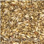 Briess Munich - 20L - 1 lb.