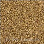 Gambrinus Wheat - 1.8L - 1 lb.