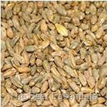 Briess Rye Malt - 4L - 1 lb.
