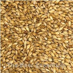 Belgian Pale - 3L - 1 lb.