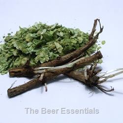 Comet Hops Rhizome