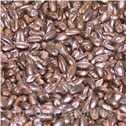 Briess Midnight Wheat - 1 lb.