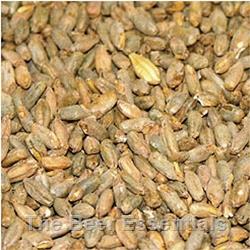 Briess Rye Malt - 4L - 1 lb.
